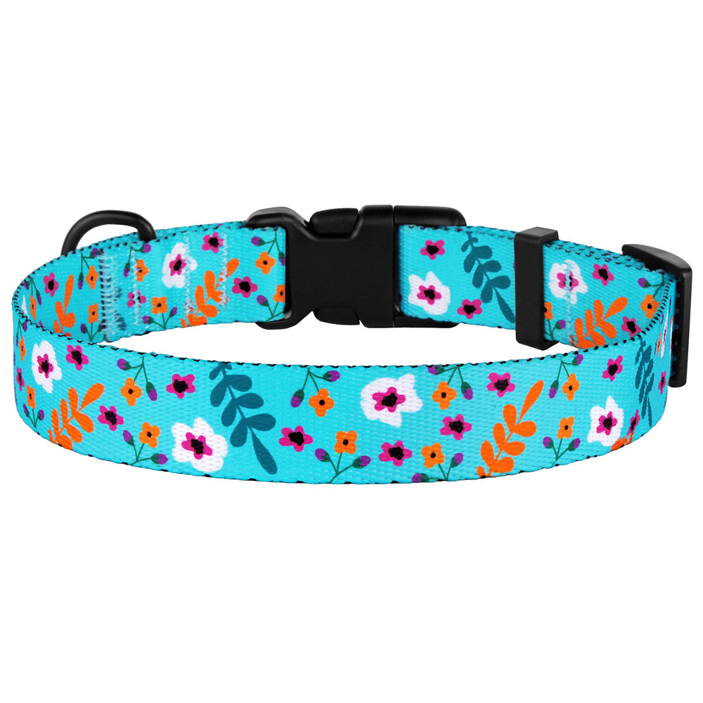 CollarDirect floral Aquamarine D-ring closeup shows leash attachment