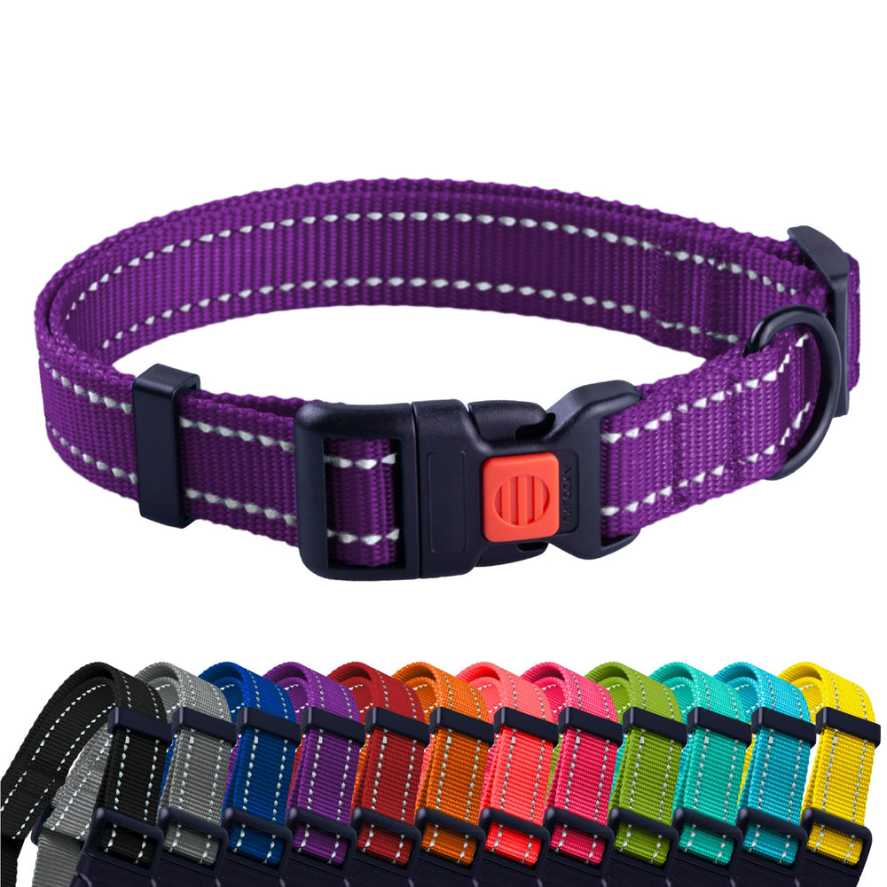 CollarDirect reflective dog collar 12-16 inch purple improves nighttime visibility for safer walks.