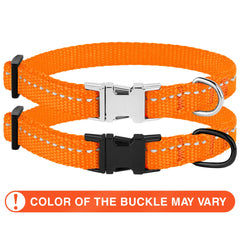 CollarDirect reflective dog collar buckle close-up shows secure quick-release mechanism.