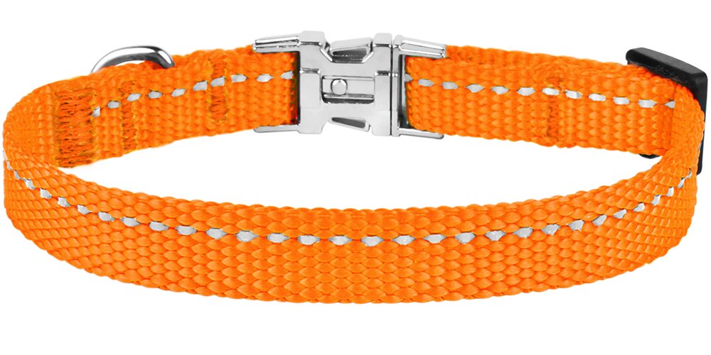 CollarDirect color options showcase bright styles for every dog.