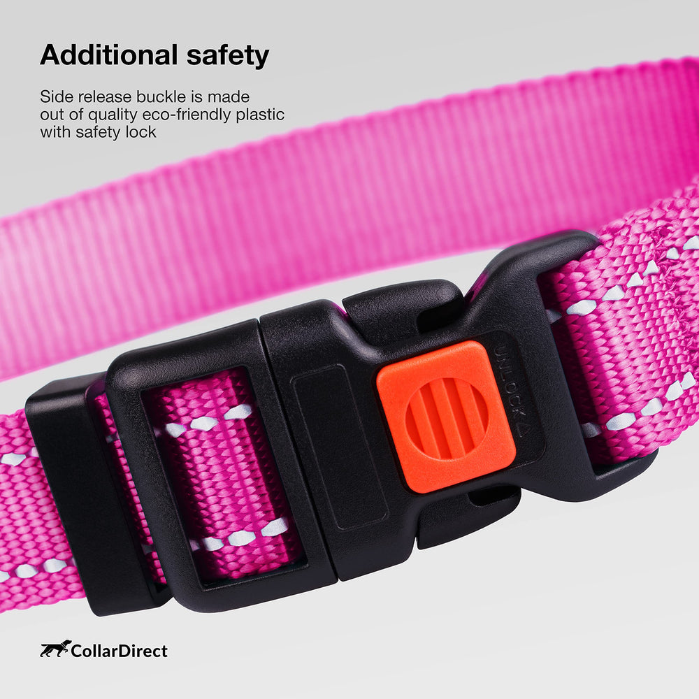 CollarDirect dual-stitched reflective collar improves night visibility for safer evening walks.