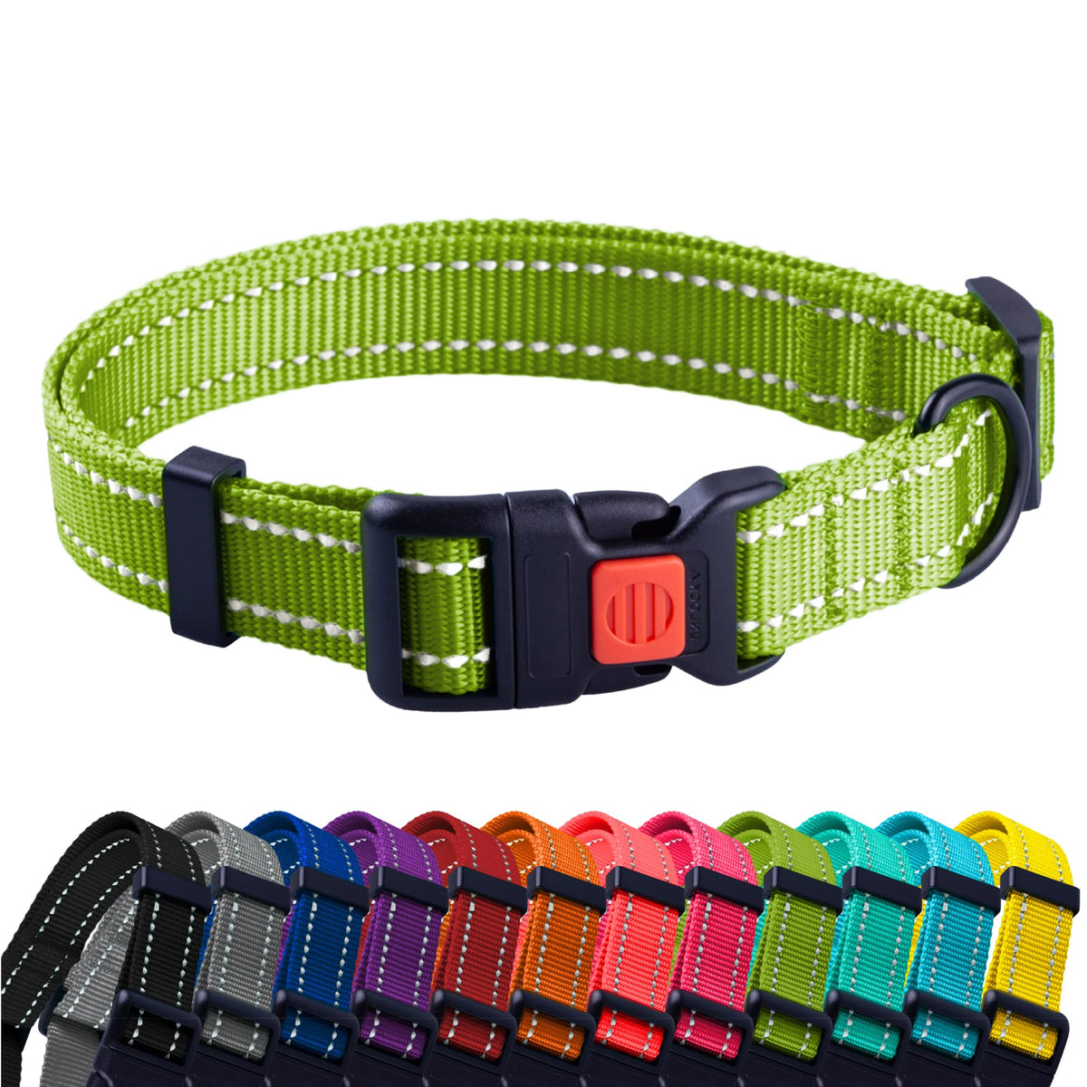 CollarDirect reflective dog collar in lime green on a medium dog for high visibility.