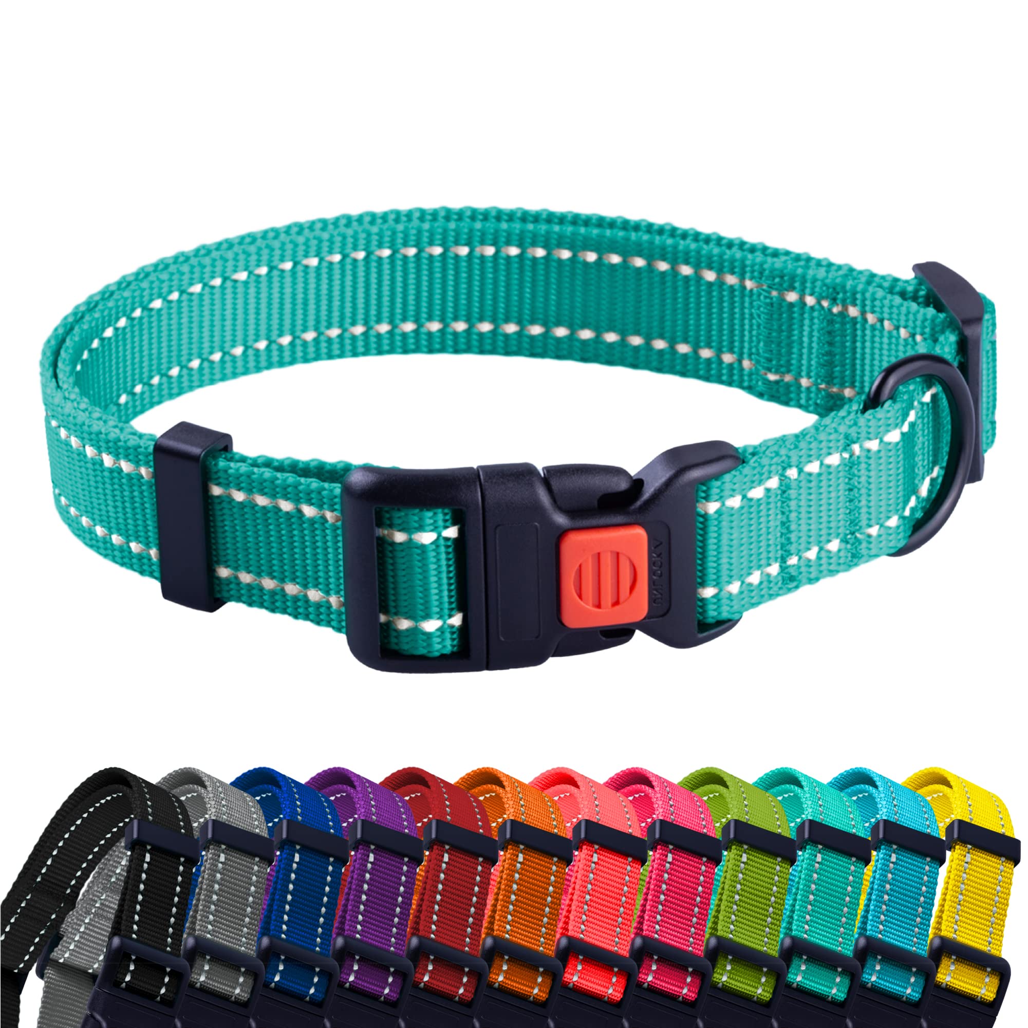 CollarDirect reflective dog collar mint green with quick-release buckle for safer night walks