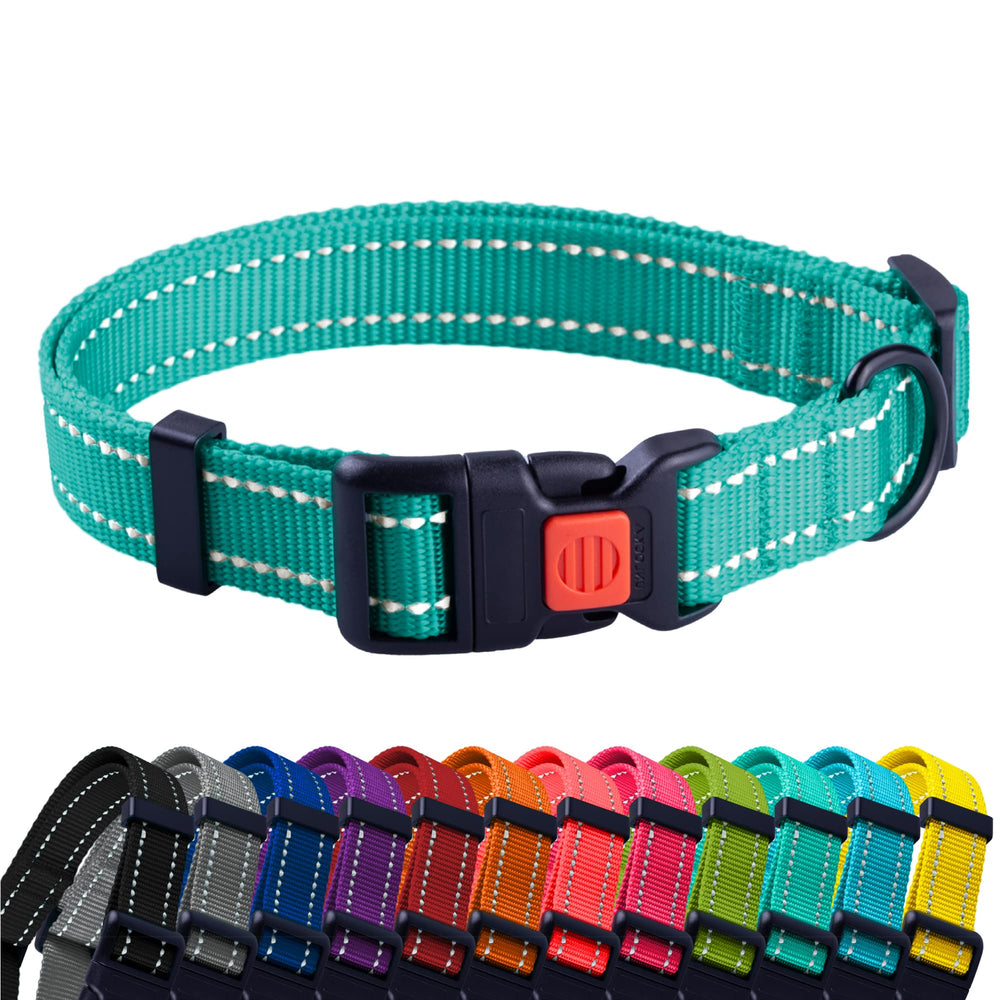 CollarDirect reflective dog collar mint green with quick-release buckle for safer night walks
