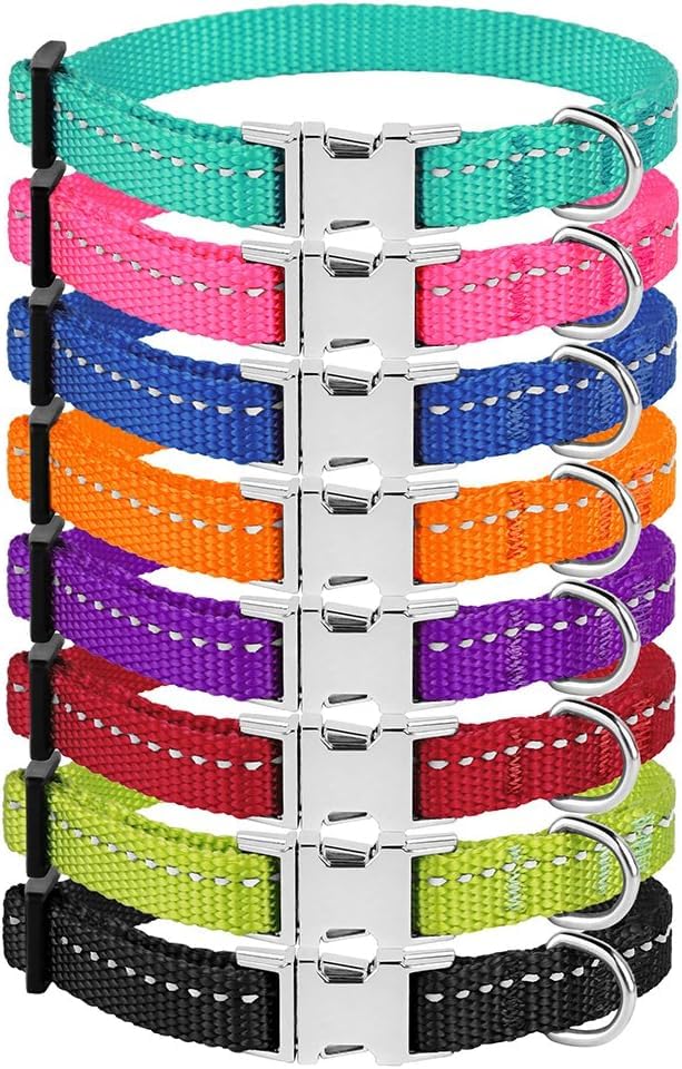 CollarDirect reflective dog-collar night-visibility enhances evening safety.