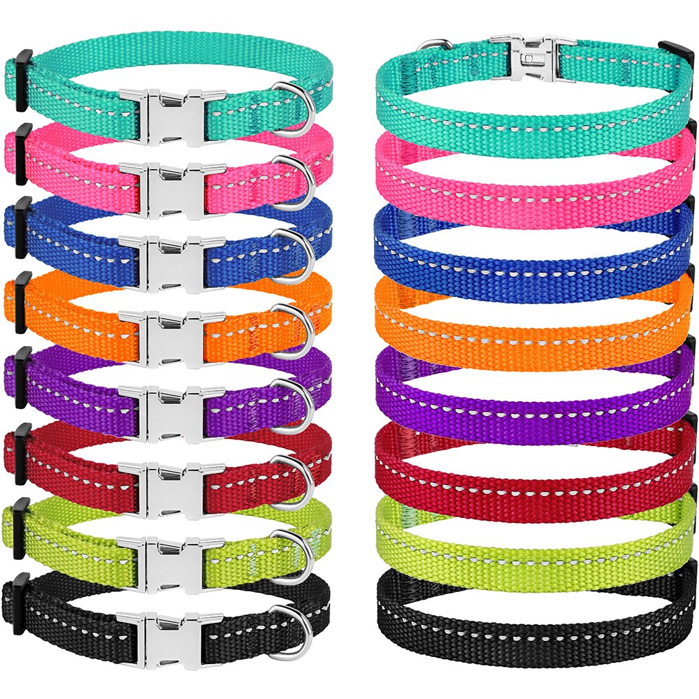 CollarDirect night visibility aids in spotting your dog at dusk or dawn.