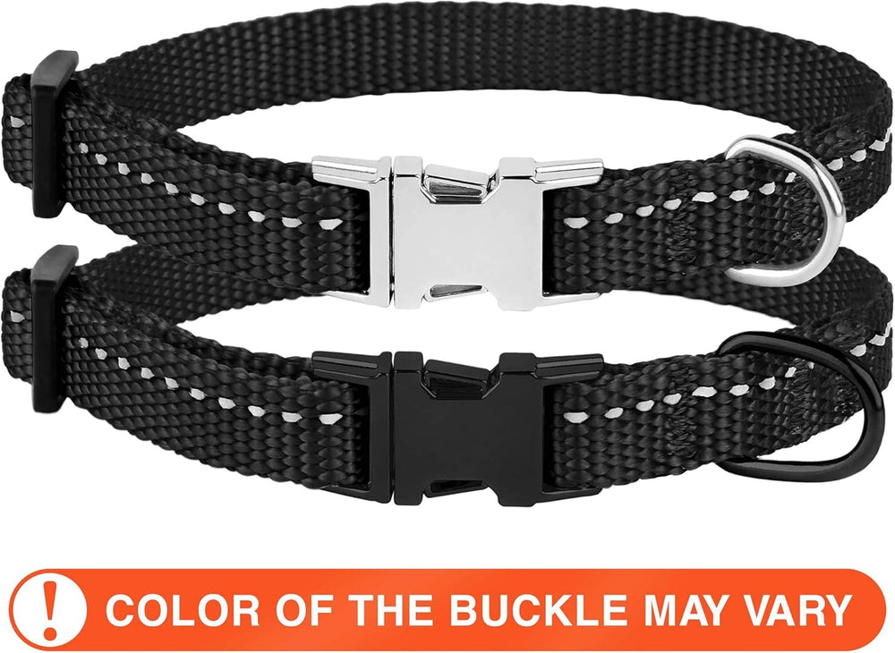 CollarDirect reflective nylon dog-collar provides lightweight daily wear.