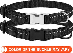 CollarDirect reflective nylon dog-collar provides lightweight daily wear.