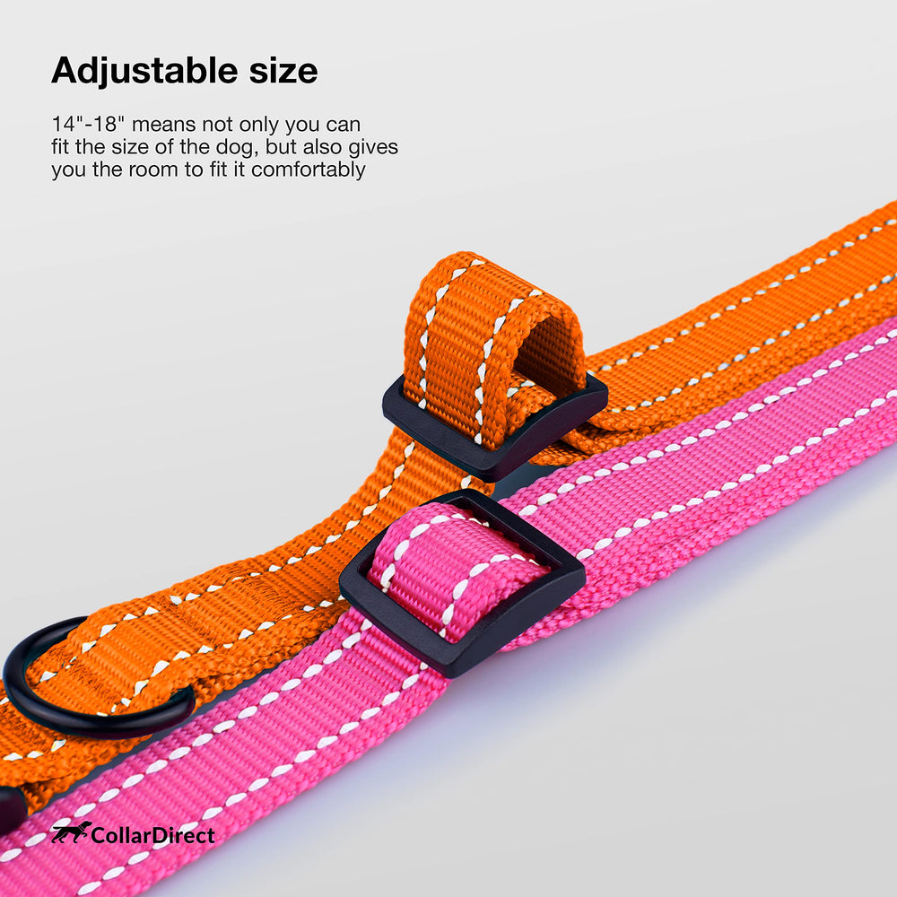 CollarDirect reflective dog collar orange in-action shows visibility during outdoor activities.