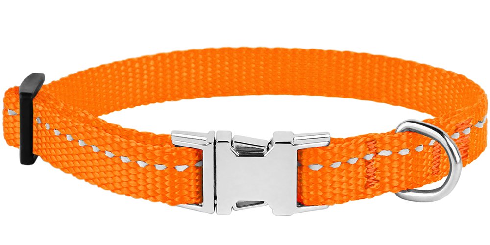 CollarDirect reflective dog collar interior padding enhances comfort on long walks.