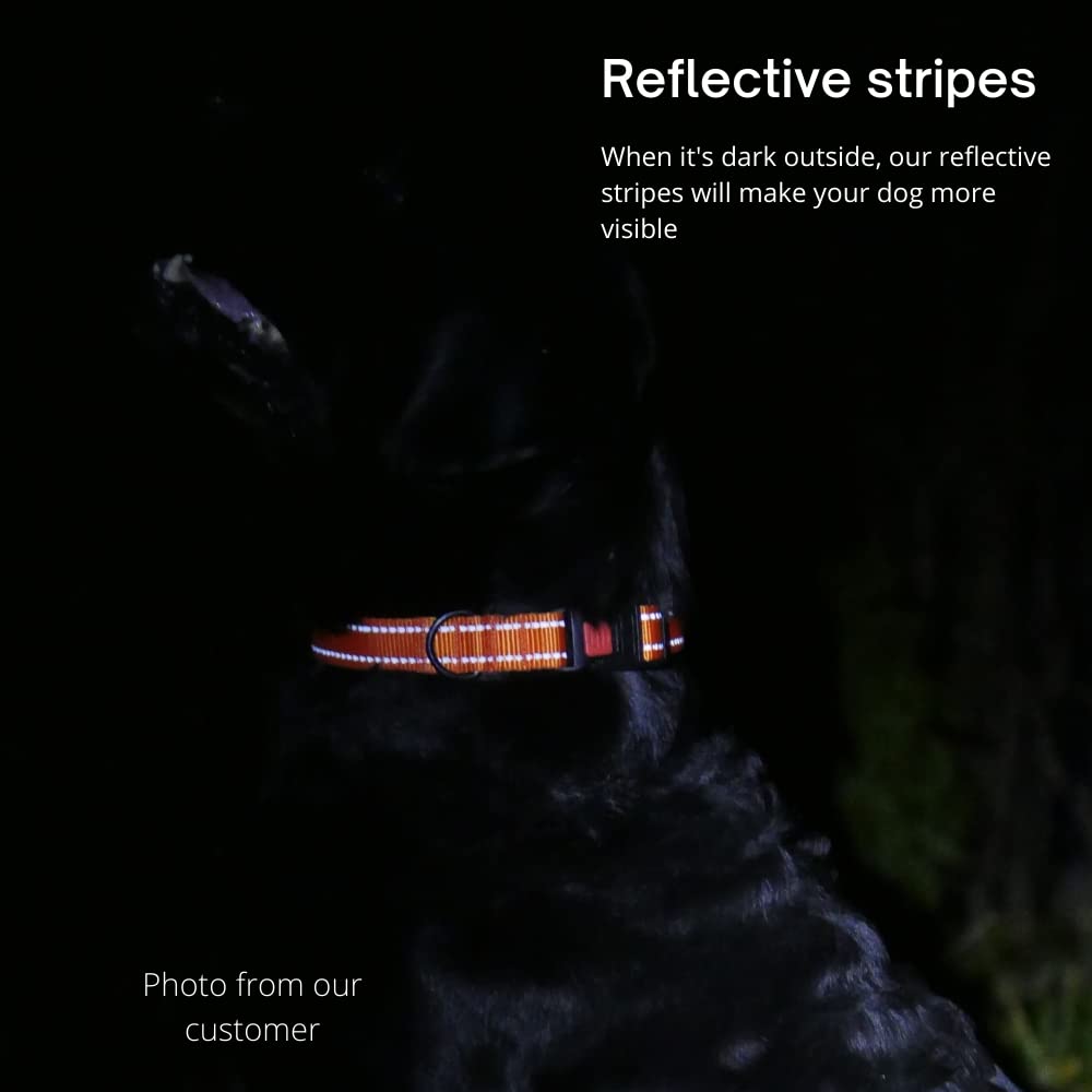 CollarDirect pink collar features padded interior for comfortable all-day wear.