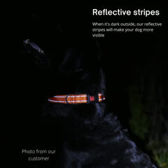 CollarDirect pink collar features padded interior for comfortable all-day wear.