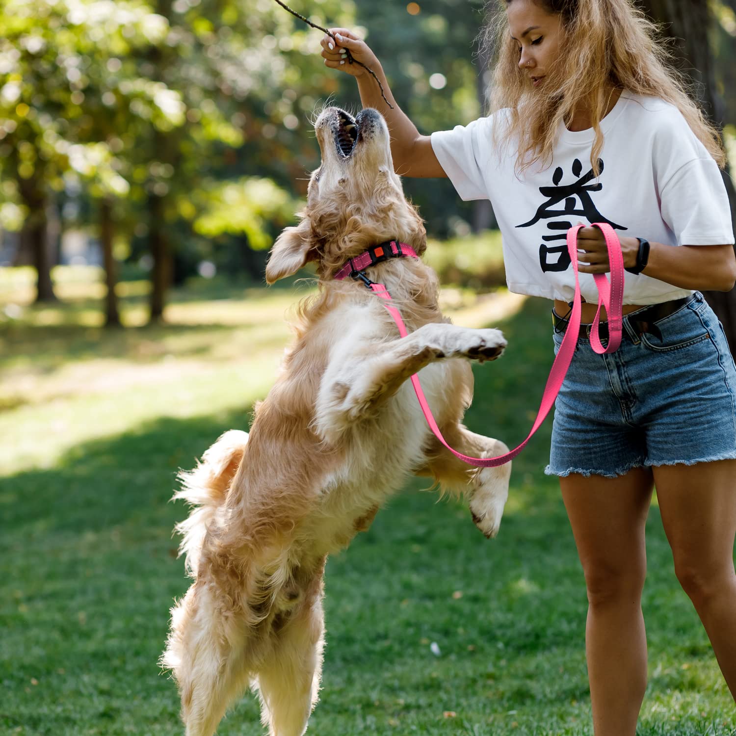 CollarDirect reflective collar with quick-release buckle for easy on-off during active play.