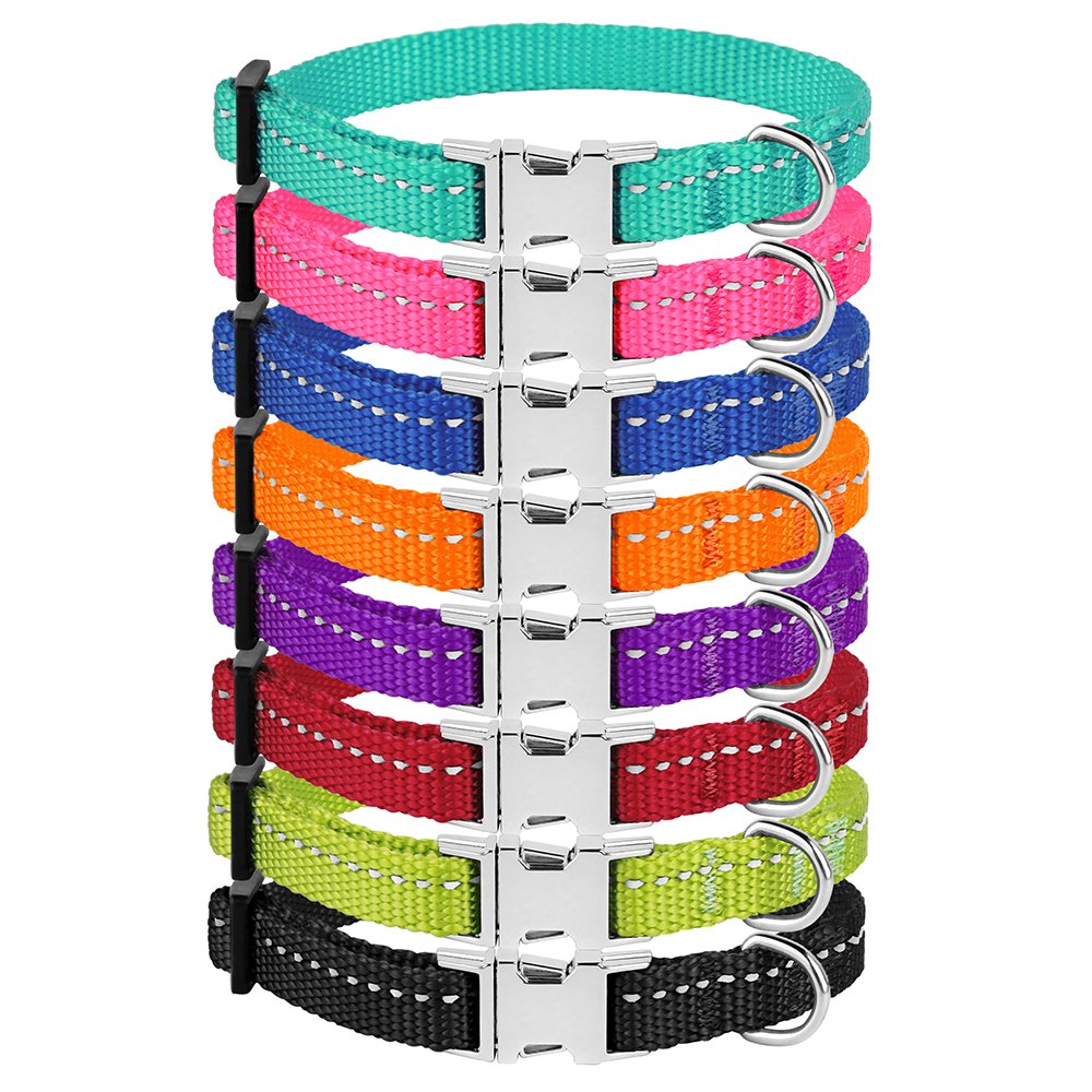 CollarDirect swim-friendly collar stays durable during splashes and wet adventures.