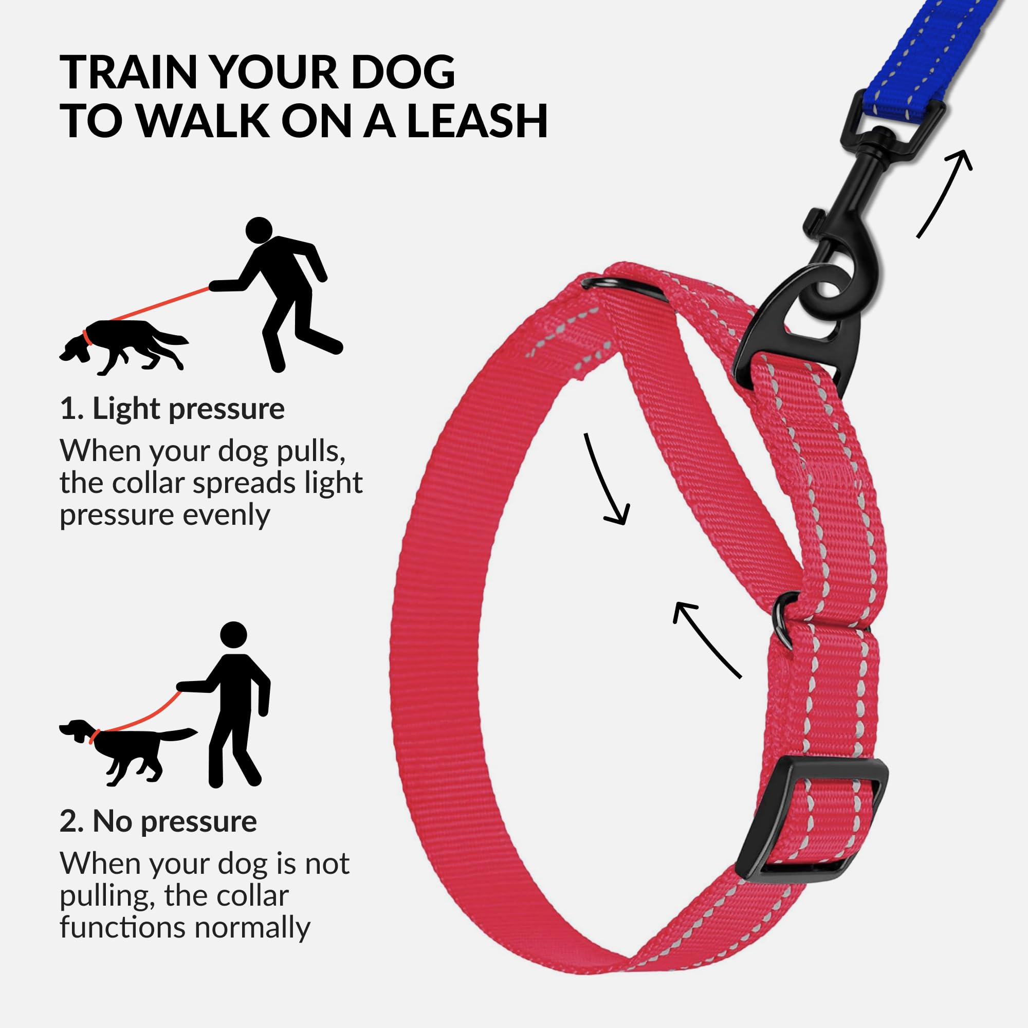 CollarDirect Reflective Martingale Collar blue enhances nighttime safety for dogs.