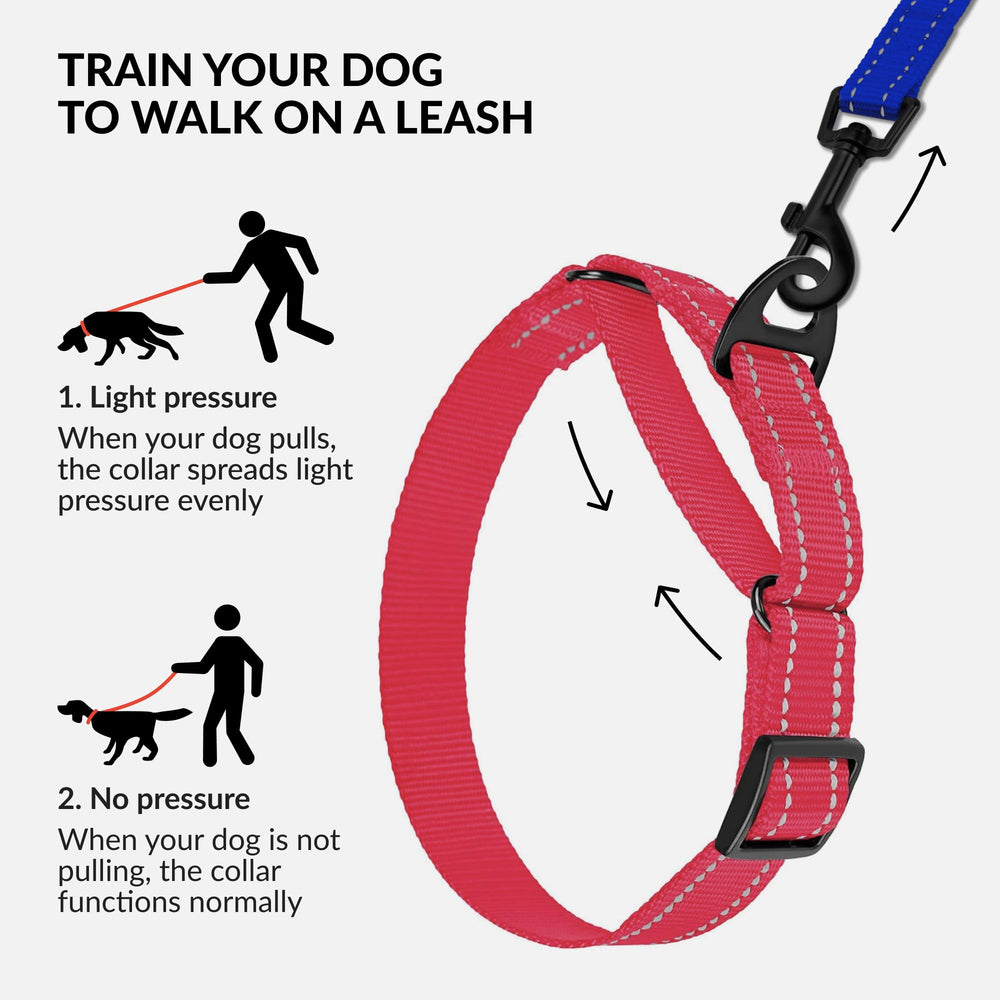 CollarDirect Reflective Martingale Collar blue enhances nighttime safety for dogs.