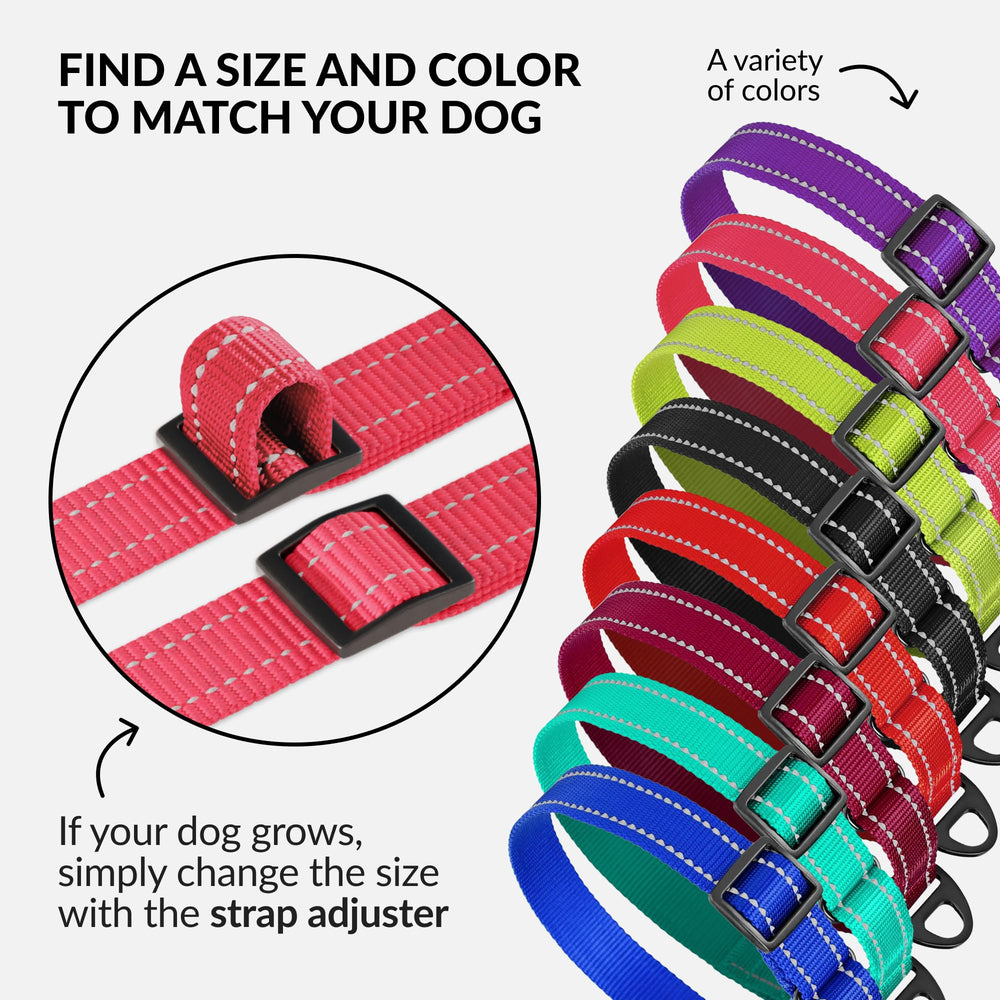 CollarDirect Red Reflective Martingale Collar provides day and night visibility and control.