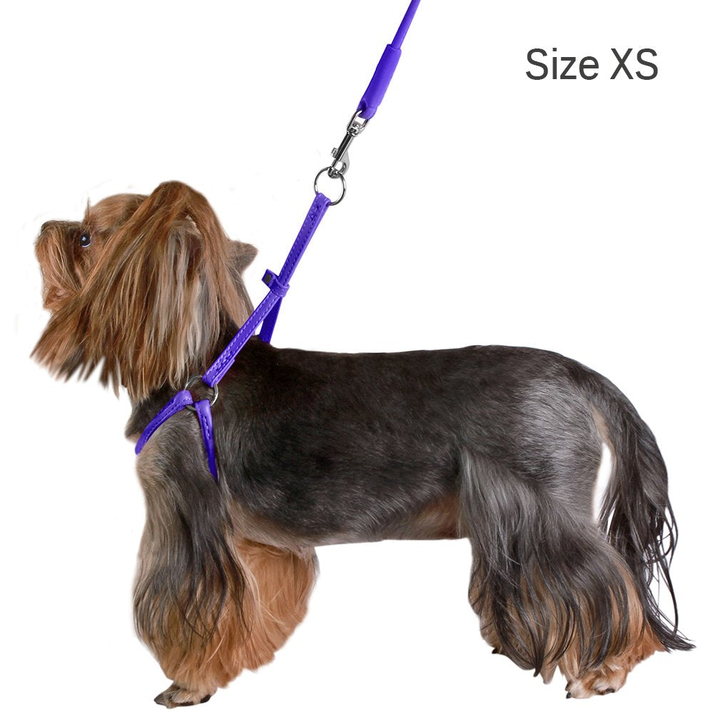 CollarDirect rolled leather harness black for small dogs—classic, durable, gentle on fur