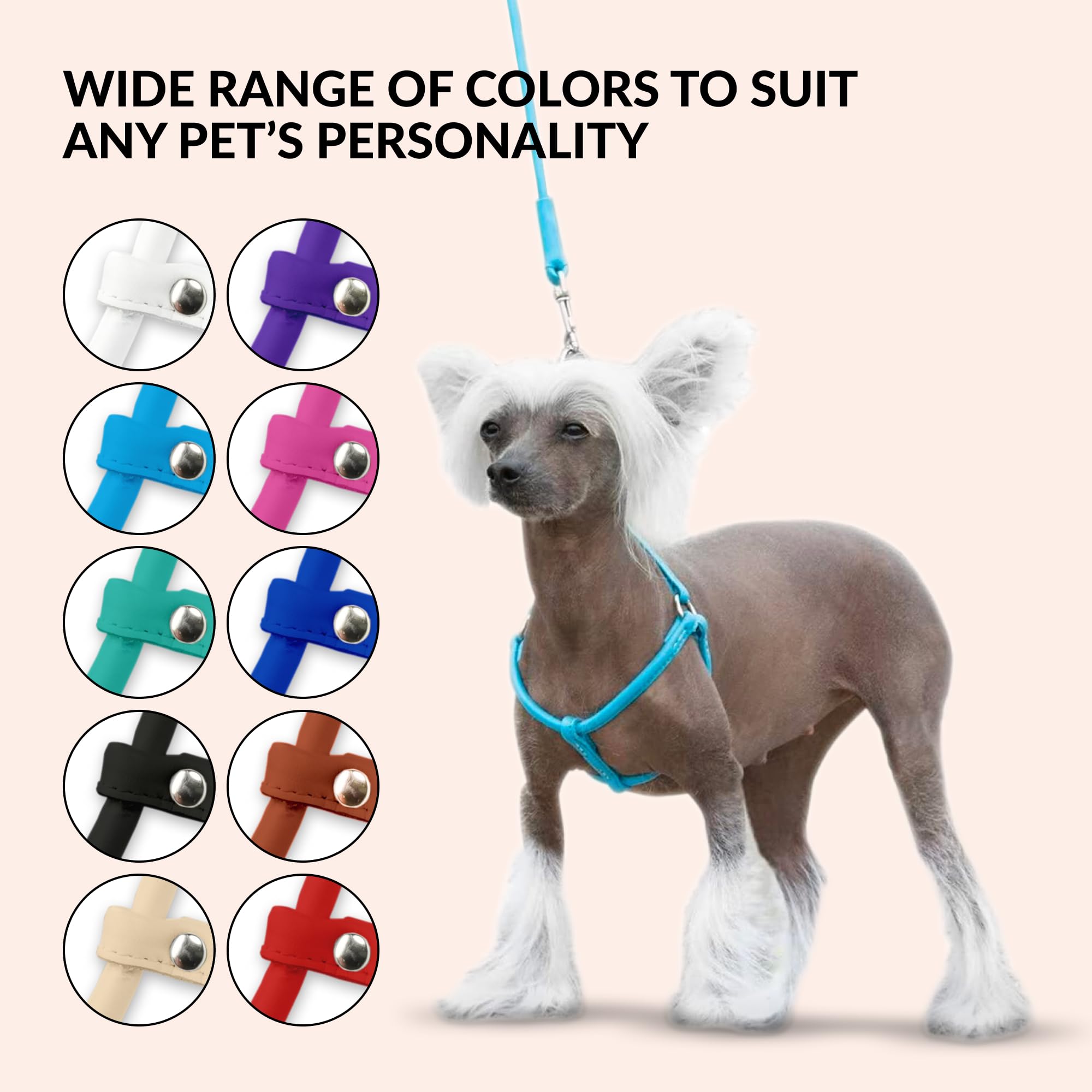 CollarDirect rolled leather harness green for small breeds—prevents coat tangling during walks