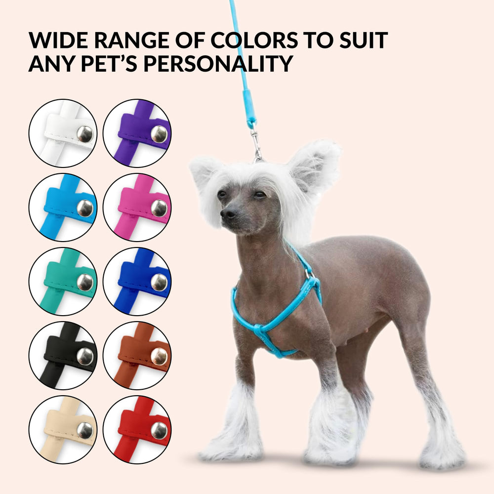 CollarDirect rolled leather harness green for small breeds—prevents coat tangling during walks