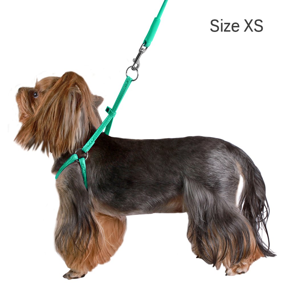 CollarDirect rolled leather harness purple for puppies—vibrant color for daily strolls