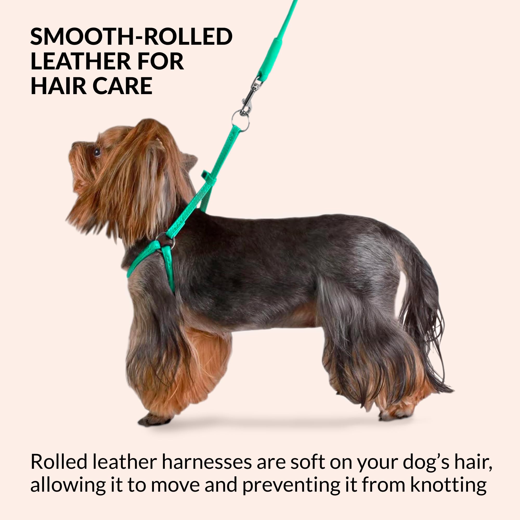 CollarDirect rolled leather harness white for tiny breeds—soft, smooth, comfortable wear