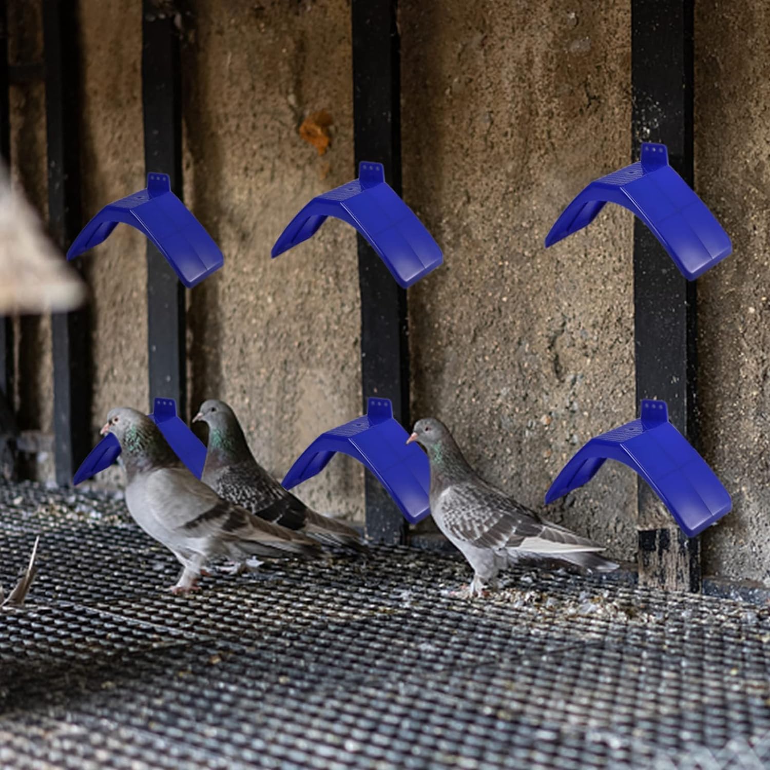 Coloch bird perches offer durable lightweight design for effortless placement.
