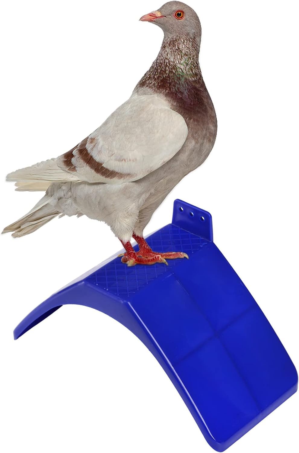 Coloch birdcage accessory adds versatile perch for multiple species.