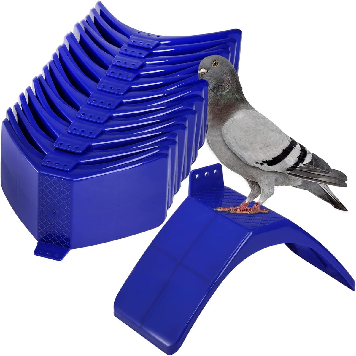 Coloch dove rest stand offers a stable perching spot for rest.