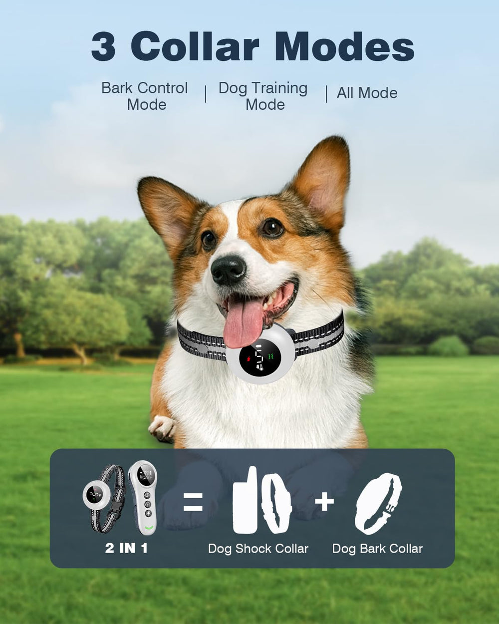 Colofrog bark collar demonstrates smart voice recognition for automatic barking control.