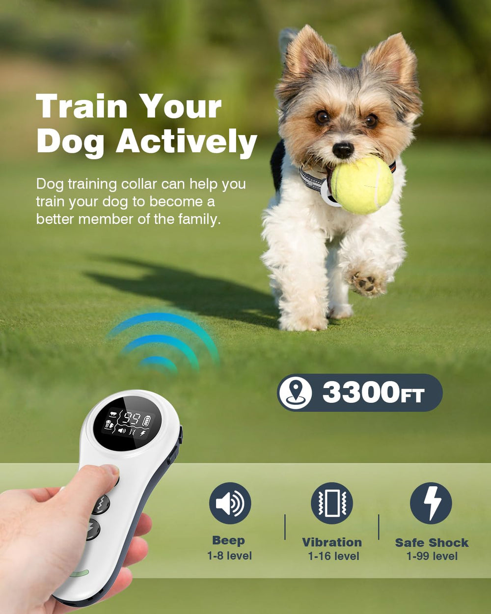 Colofrog IP67 waterproof collar for all-weather wear.