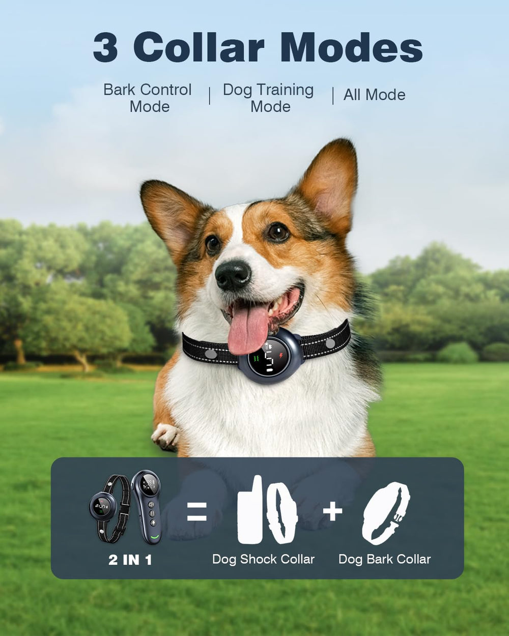Colofrog remote-assisted collar for outdoor training