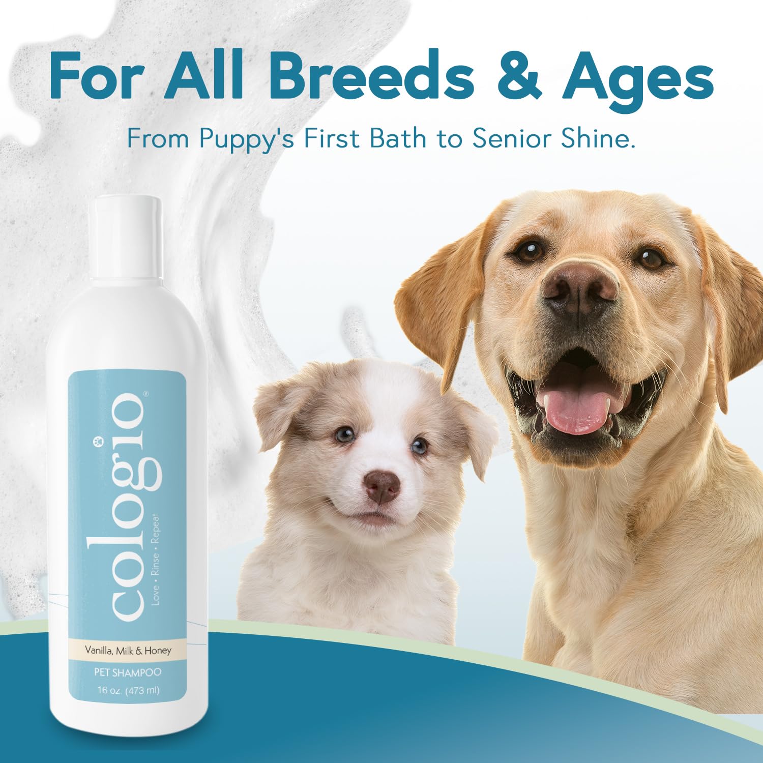 Cologio Dog Shampoo dog-coat-soft-shine reveals hydrated, shiny fur after bath