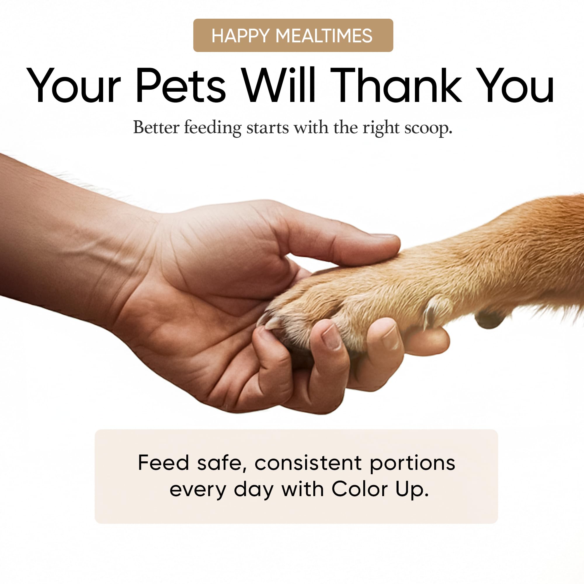 Color Up rust-resistant stainless steel keeps up with regular pet mealtime use.