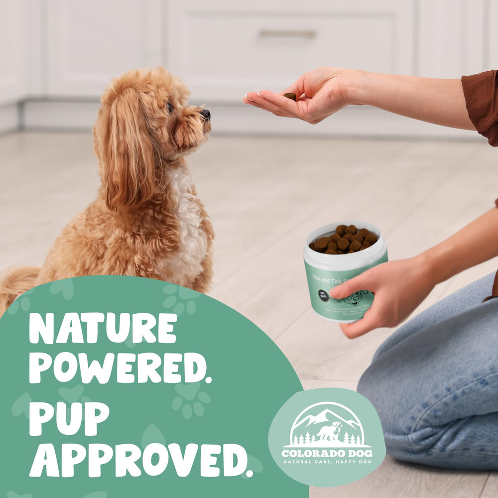 Colorado Dog 120-count pack for ongoing seasonal prevention.