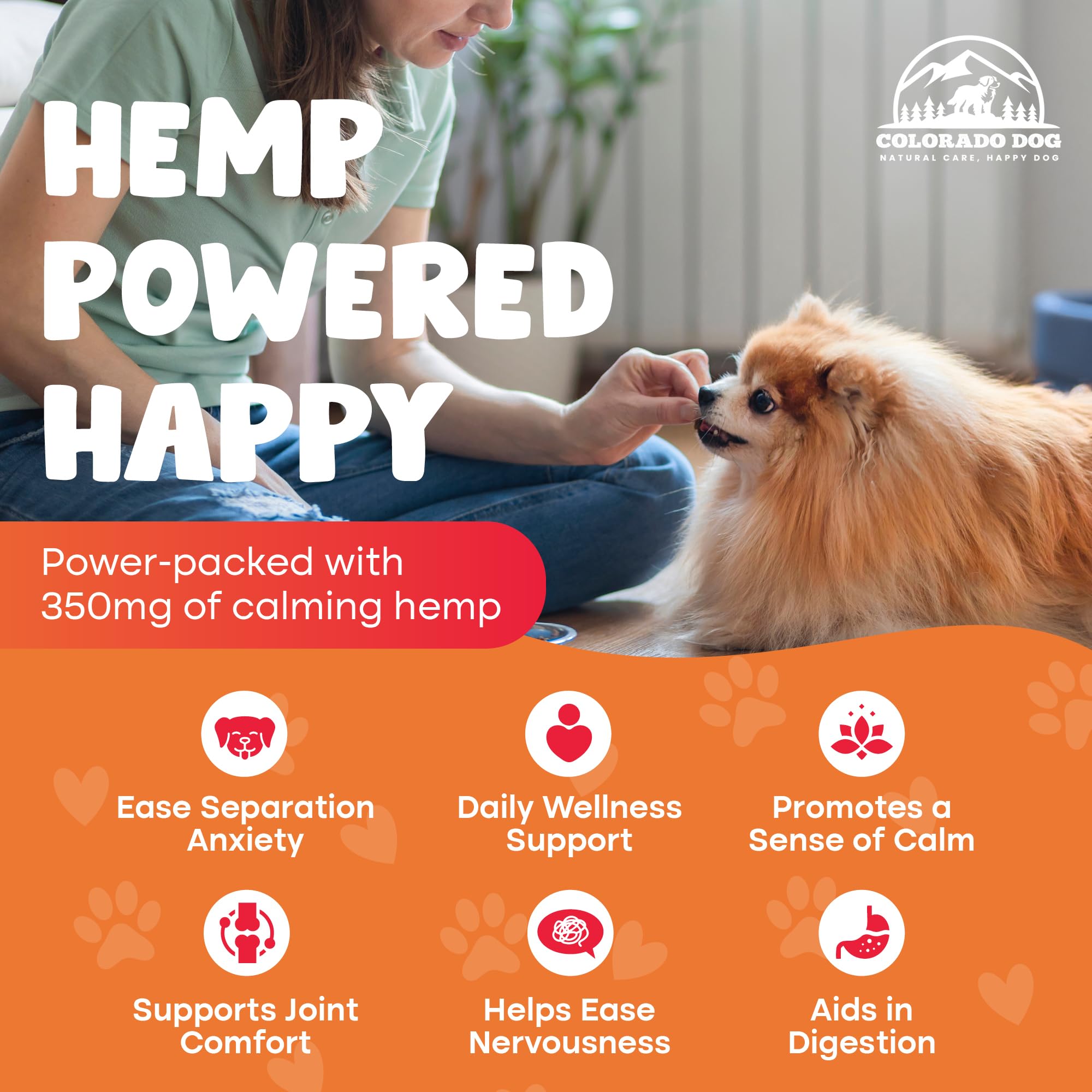 Colorado Dog hemp chews travel bag scene shows nervous pup calm during trips