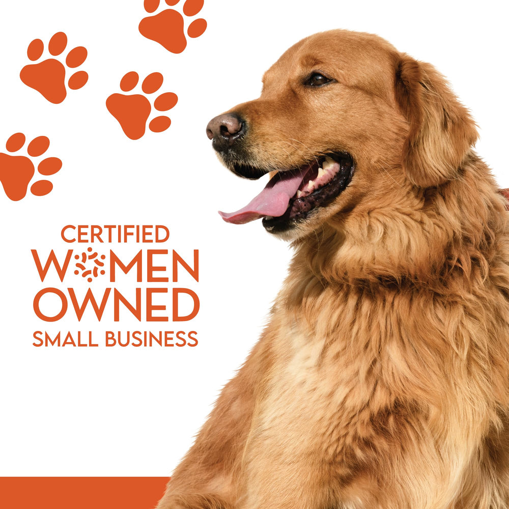 Colorado Naturals Chicken Jerky Chips dog-ready—perfect training reward during walks or play.