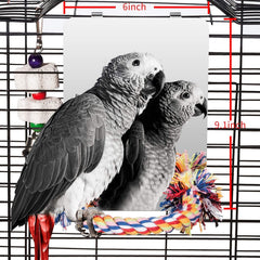 Colorday 9-inch bird mirror with rope perch provides full-body reflection for engagement.