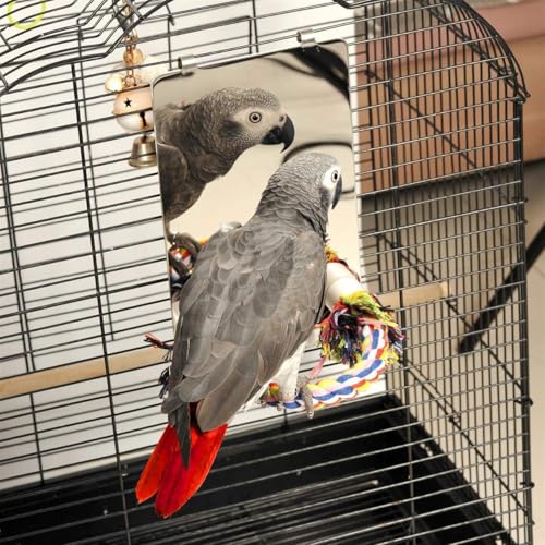Colorday bird mirror rope perch close-up highlights colorful, safe chewing-friendly perch.