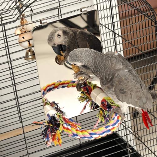 Colorday bird swing mounted in cage demonstrates easy setup for interactive play.