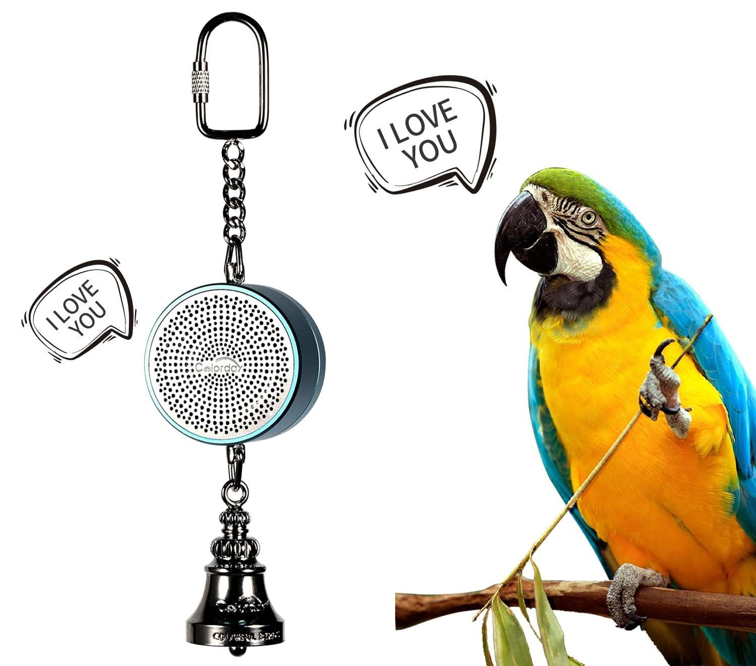 Colorday Bird Toys Parrot Talking Coach blue front view; supports speech practice and companionship.