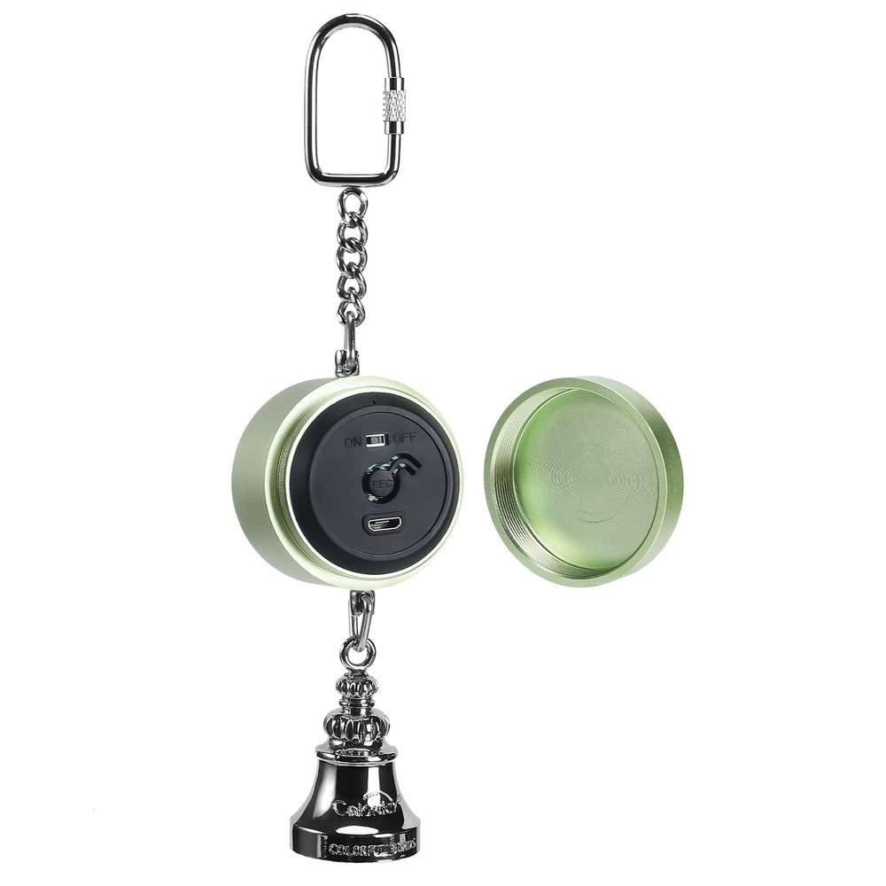 Colorday Talking Coach Green face-voice playback highlights personalized bird interaction.