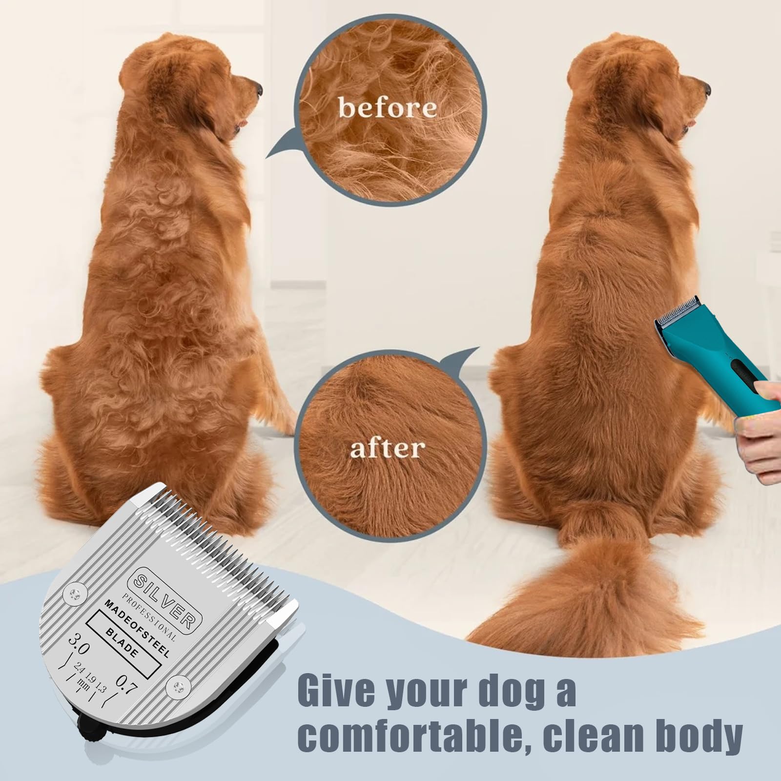 colorski five-size blade set guide showing size options for grooming.