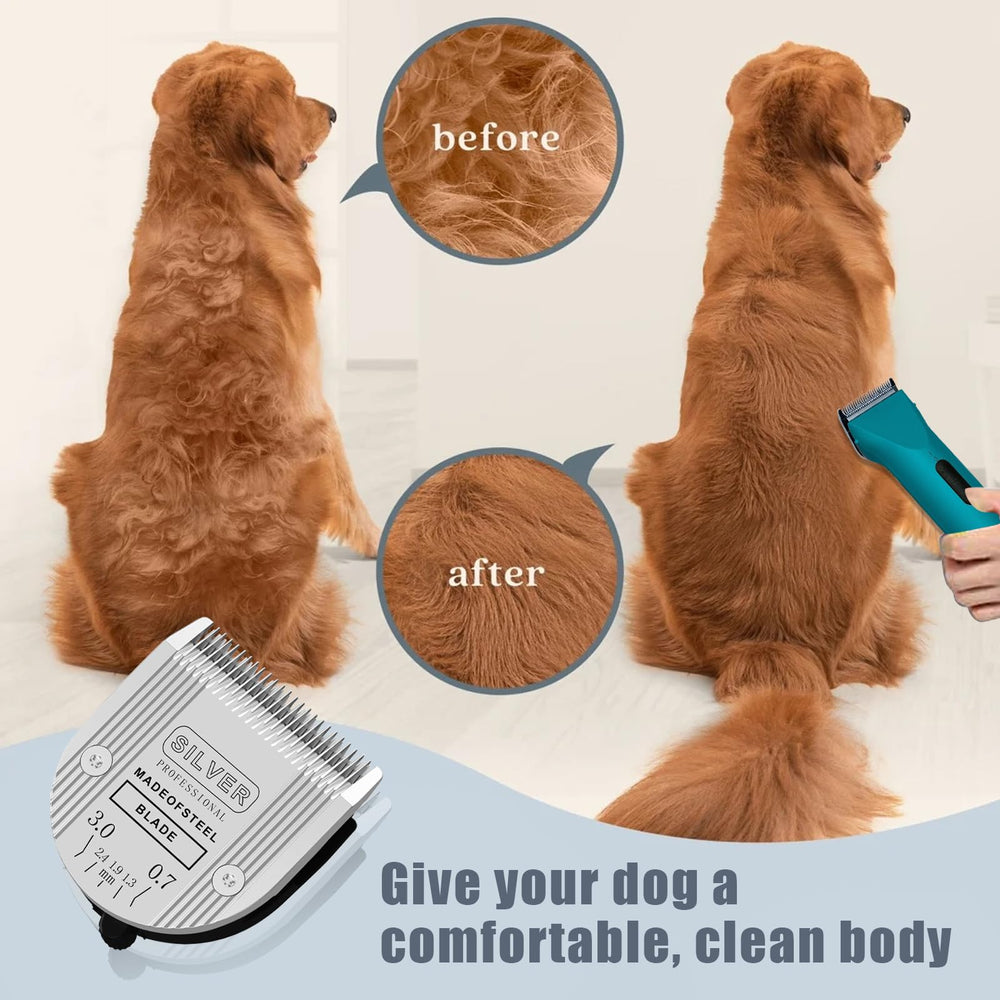 colorski five-size blade set guide showing size options for grooming.