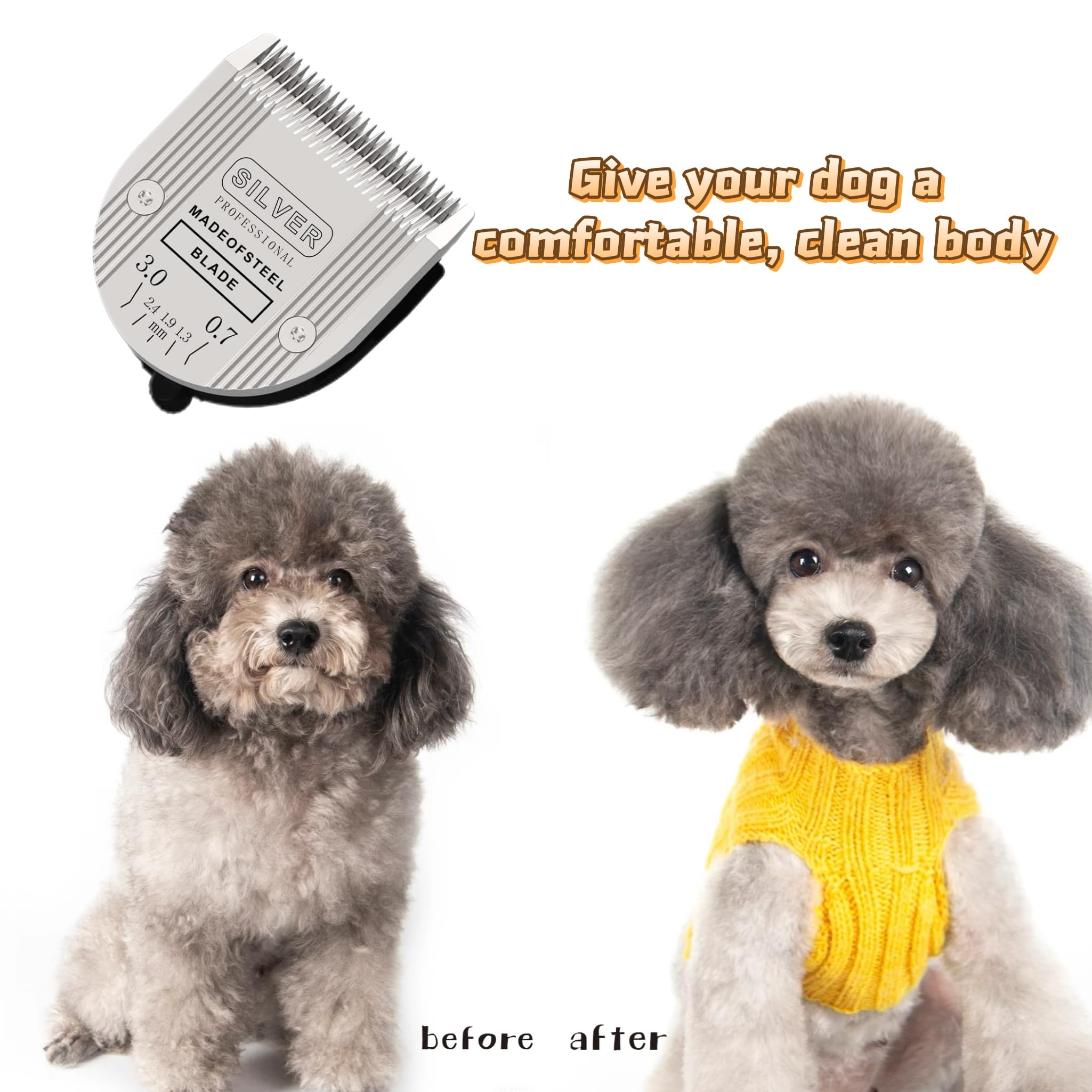 colorski multi-animal grooming scene with dogs, cats, and horses in daily care