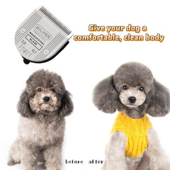 colorski multi-animal grooming scene with dogs, cats, and horses in daily care