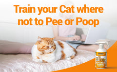 Colton's Naturals NO PEE NO POOP spray nozzle directs cats away from off-limits spots.
