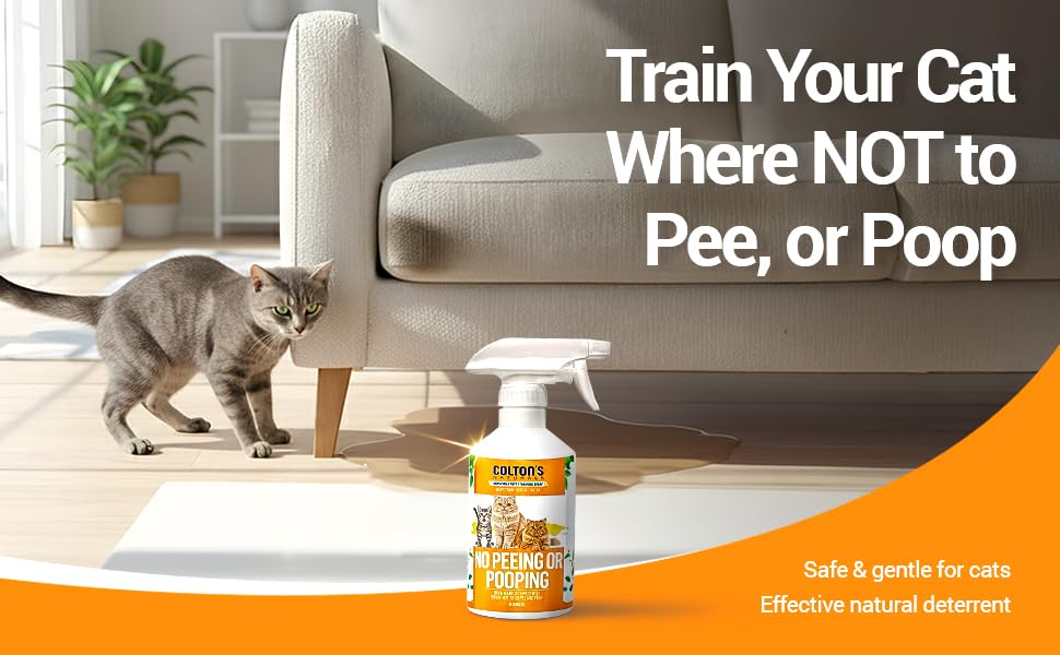 Colton's Naturals NO PEE NO POOP spray on carpet demonstrates indoor training use.