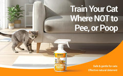 Colton's Naturals NO PEE NO POOP spray on carpet demonstrates indoor training use.