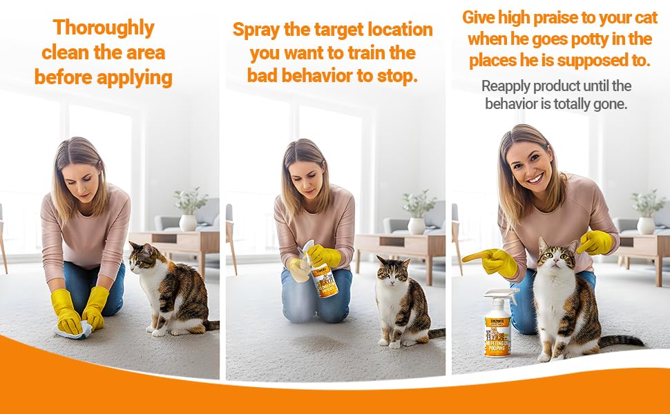 Colton's Naturals NO PEE NO POOP spray used during kitten training sessions.